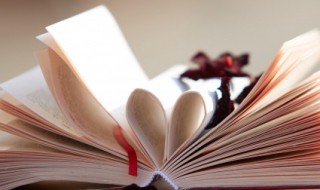 杨氏之子翻译（杨氏之子翻译20字）