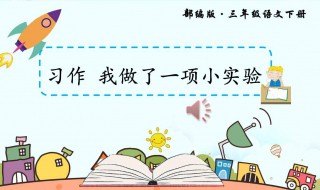 我做了一项小实验300字 我做了一项小实验300字作文