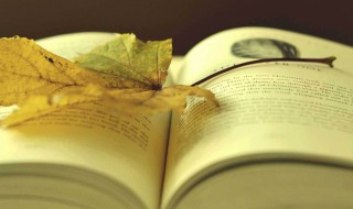 我与地坛读后感（我与地坛读后感100字）