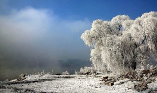 大雪的诗句（描写大雪的诗句）