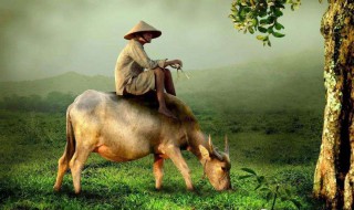 描写动物的古诗 描写动物的古诗有哪些