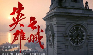 英雄之城观后感 英雄之城观后感800字