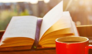 安妮日记读后感 安妮日记读后感英文