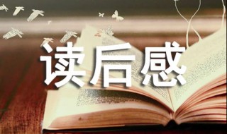 皇帝的新衣读后感