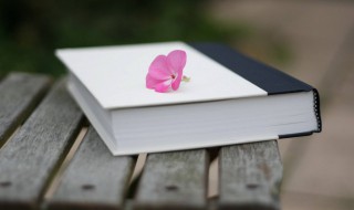 画蛇添足歇后语 画蛇添足歇后语下一句成语