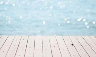 三字经读后感（三字经读后感300字左右）