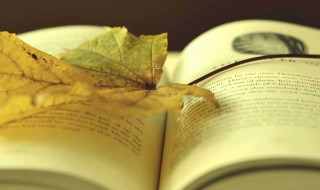 读书名言（读书名言名句）