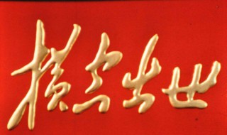 横空出世观后感 横空出世观后感500字