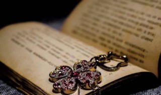 买椟还珠文言文（买椟还珠文言文拼音版）