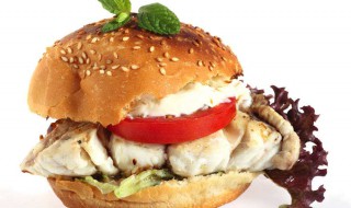 汉堡包用英语怎么说 汉堡包用英语怎么说hamburger