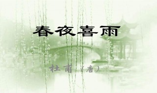 春夜喜雨（春夜喜雨 古诗带拼音）
