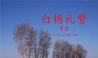 白杨礼赞教案 白杨礼赞教案两课时