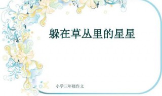 躲在草丛里的星星想象作文300字（躲在草丛里的星星想象作文300字三年级）