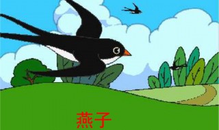 燕子教学设计 小学三年级语文燕子教学设计