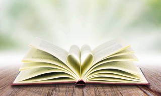 合欢树读后感 合欢树读后感300字