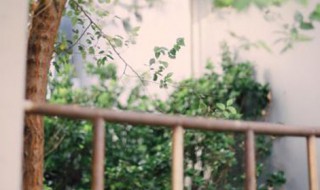 王勃送杜少府之任蜀州赏析 王勃送杜少府之任蜀州表达的情感