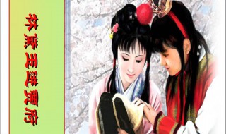 林黛玉进贾府教学设计（林黛玉进贾府教学设计免费）