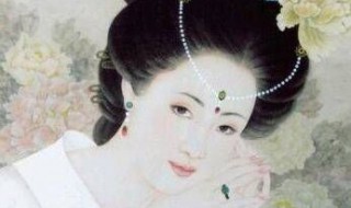 杨玉环简介（杨玉环简介是哪里人）