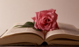 夜行黄沙道中全诗意 夜行黄沙道中诗意简单