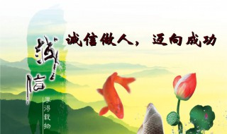 诚实守信的故事（诚实守信的故事100字）