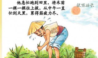 寓言故事读后感（寓言故事读后感400字作文）