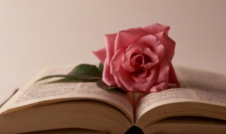 泰戈尔诗集读后感 泰戈尔诗集读后感1000字