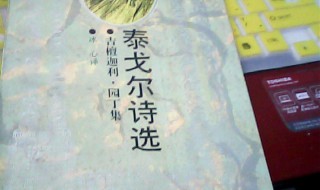 泰戈尔诗选摘抄赏析