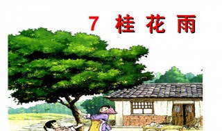 桂花雨课文（桂花雨课文朗读）