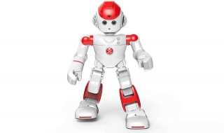 关于机器人的资料（关于机器人的资料英语）