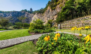 辰山植物园旅游攻略 辰山植物园旅游攻略图