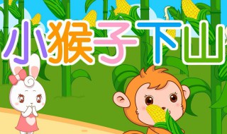 小猴子下山的故事告诉我们什么 一年级小猴子下山的故事告诉我们什么