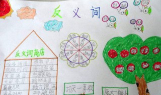 偶然的反义词是什么 偶然的反义词是什么词