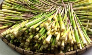 细的春笋怎么做 细春笋怎么做最好吃