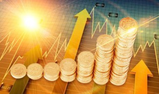 基金的净值和估值是什么意思（基金的净值和估值是什么意思个人盈利怎么算）