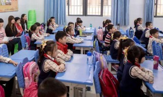 兔原文讲的什么 兔讲了什么