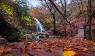 四海飘零什么意思（四海飘零是什么意思）