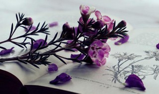 限竞房是什么意思(限竞房可以抵押贷款吗)