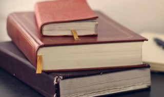 疢如疾首是什么意思(如疾如醉是什么生肖)