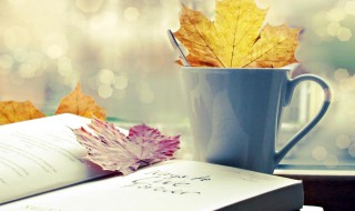 赤膊上阵是什么意思(赤膊上阵是褒义还是贬义)