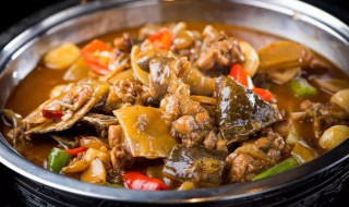 湖南口味甲鱼怎么做（湖南口味甲鱼怎么做的）