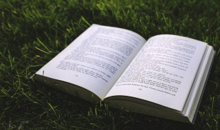 热岛效应是什么意思（热岛效应是什么意思楼顶上应是号）