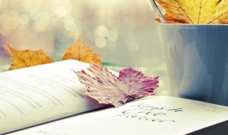 浓眉大眼什么意思（浓眉大眼是形容什么人）