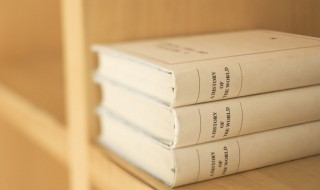 业绩是什么意思（个人业绩是什么意思）