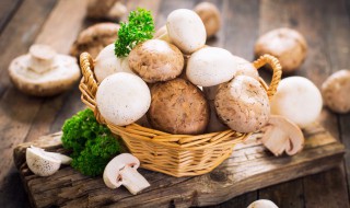 怎么做土豆蘑菇（怎么做土豆蘑菇汤好吃）