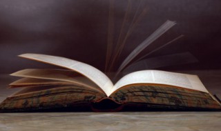 长歌行作者的人生经历（《长歌行》的作者和朝代）