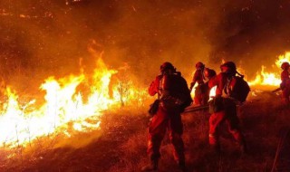 山火的影响（加拿大山火的影响）