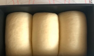 炼乳吐司怎么做（炼乳吐司怎么做好吃）