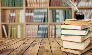 追星星的人读后感 追星星的人小短文