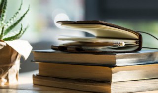 fun是什么意思（funny是什么意思）