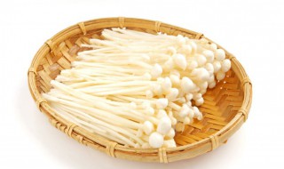粉条金针菇肉怎么做好吃法（粉条金针菇的做法大全）
